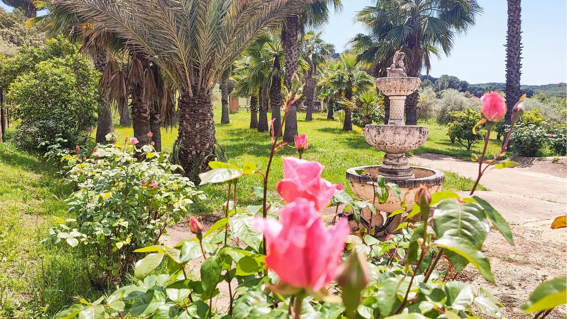 Feriehus Nice Home In Cordoba With Private Swimming Pool, Can Be Inside Or Outside Spanien